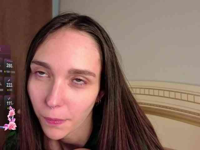 SoftieDream webcam