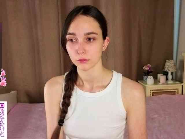 SoftieDream webcam