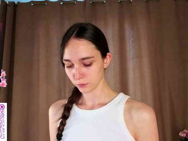 SoftieDream webcam