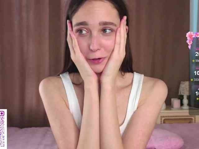 SoftieDream webcam