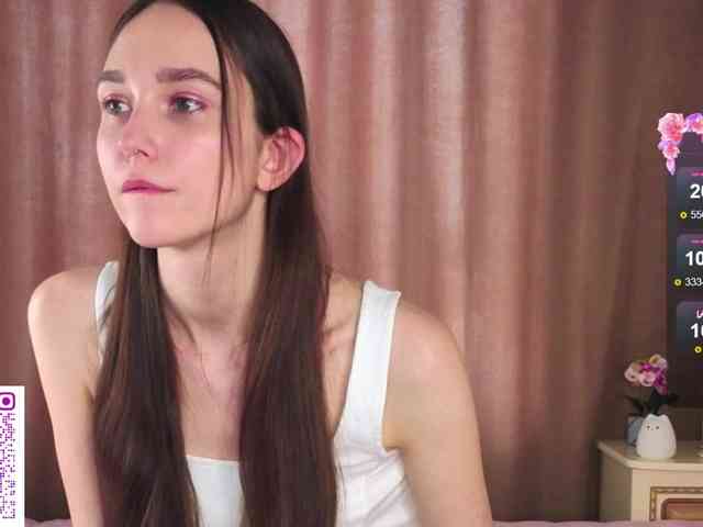 SoftieDream webcam