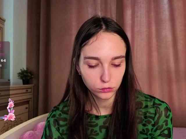 SoftieDream webcam