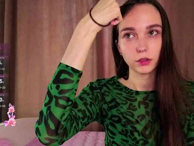 SoftieDream webcam