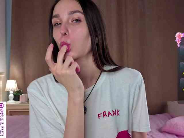 SoftieDream webcam