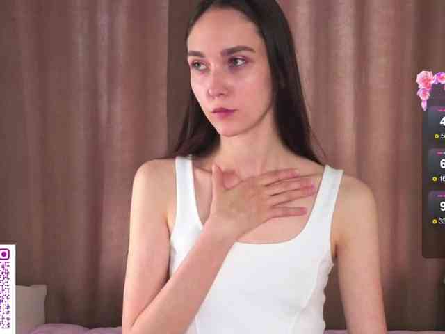 SoftieDream webcam