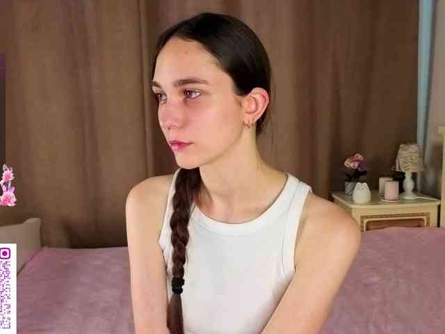 SoftieDream webcam