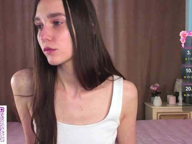 SoftieDream webcam