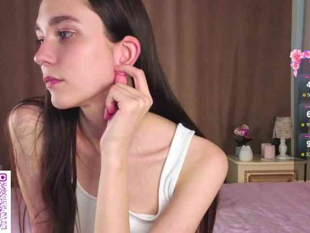 SoftieDream webcam