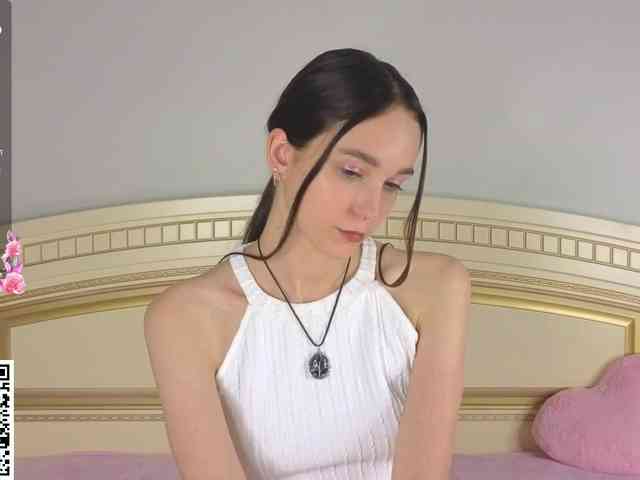 SoftieDream webcam