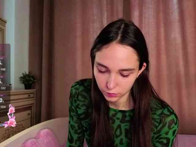 SoftieDream webcam