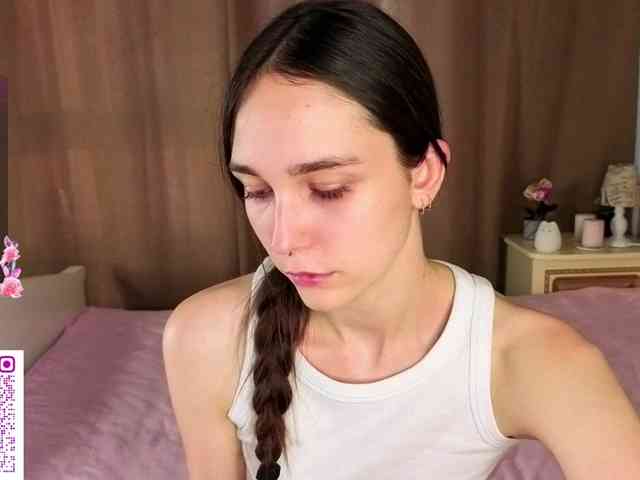 SoftieDream webcam