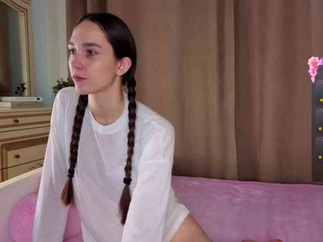 SoftieDream webcam