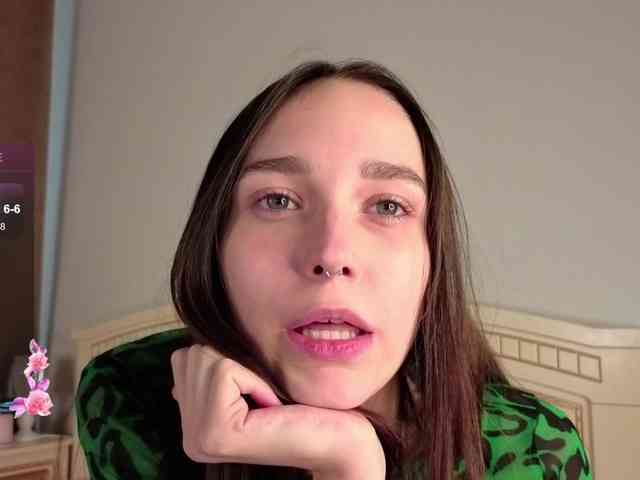 SoftieDream webcam