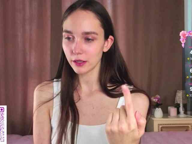 SoftieDream webcam