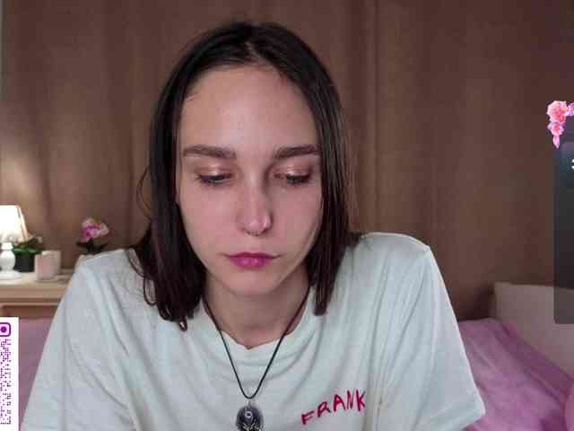 SoftieDream webcam
