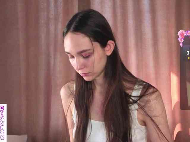 SoftieDream webcam
