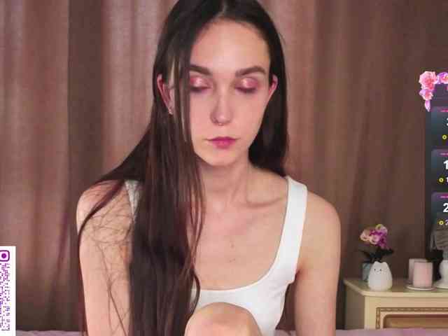 SoftieDream webcam