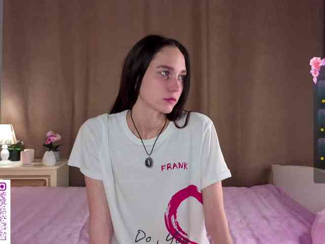 SoftieDream webcam