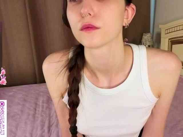 SoftieDream webcam