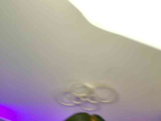 annemeow webcam