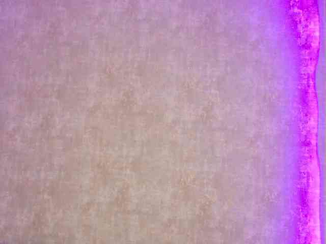 annemeow webcam