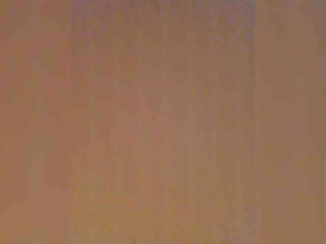 WilmaWinifred webcam