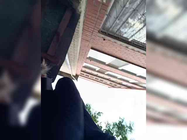 Miss-Daria-2025 webcam