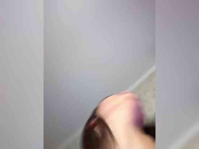 Torri-Lorrii webcam