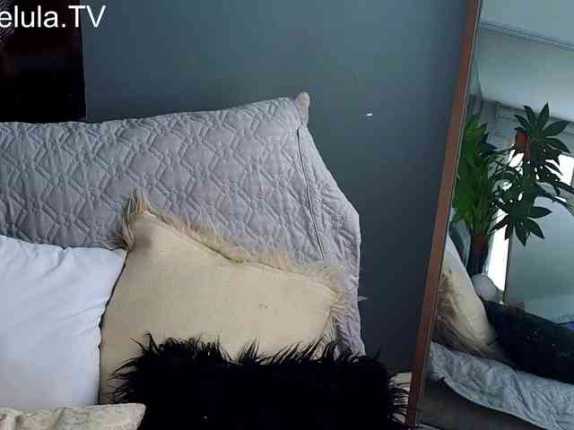 libelulaTV webcam