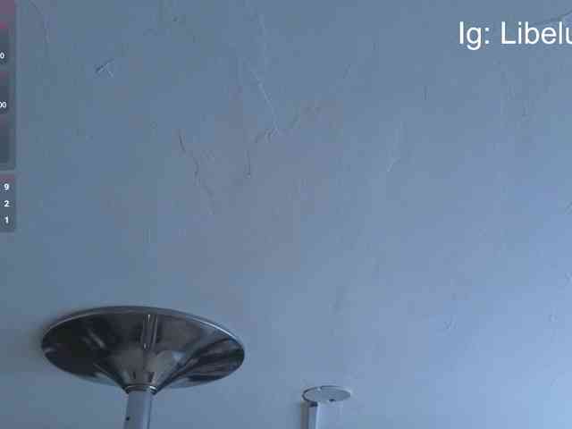 libelulaTV webcam