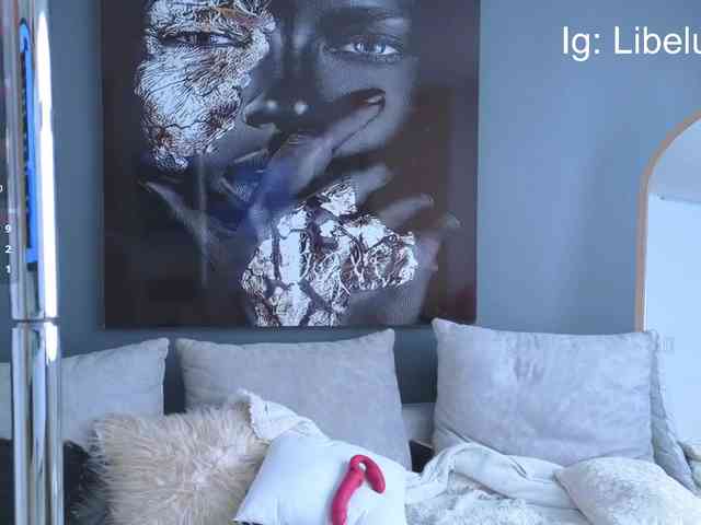 libelulaTV webcam