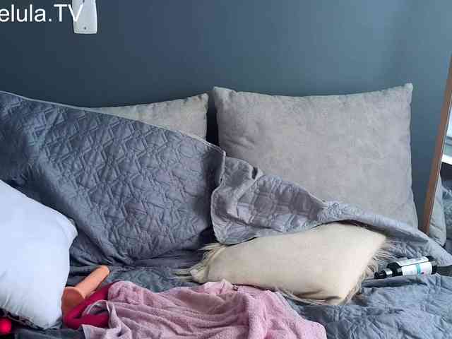 libelulaTV webcam
