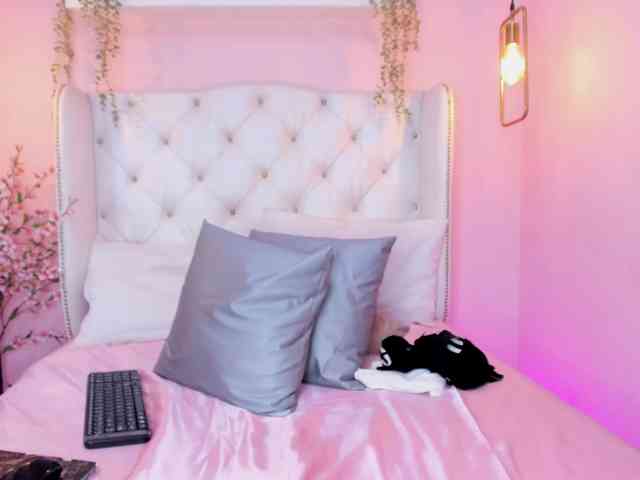 BellaaFox webcam