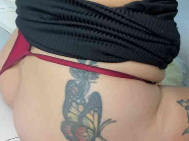 CHARLOTTE-24 webcam
