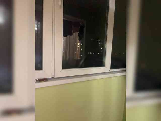Vishenka69 webcam