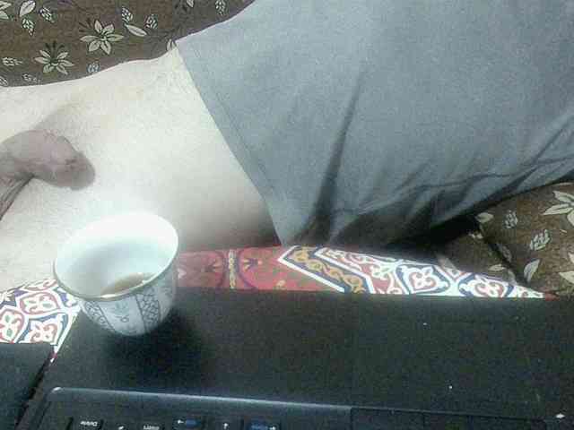 arabBedouin arabBedouin