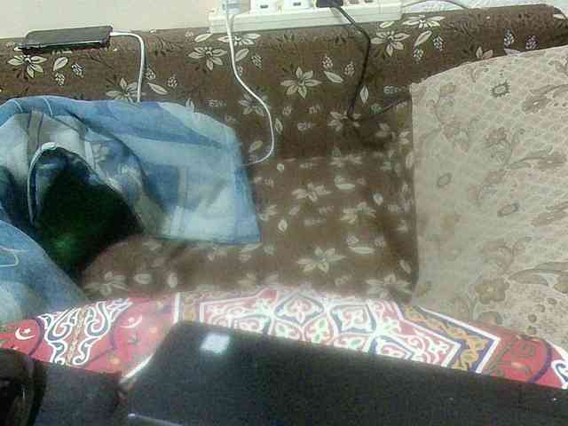 arabBedouin arabBedouin