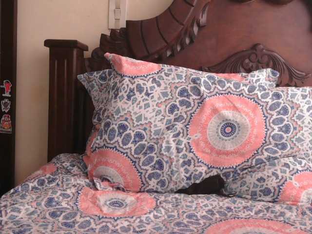 trianabell's BongaCams show and profile