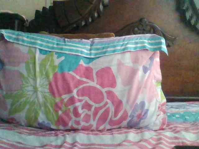 trianabell webcam