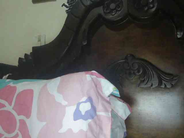 trianabell trianabell