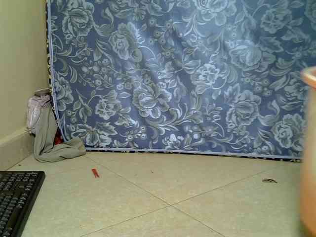 SexyDebie webcam