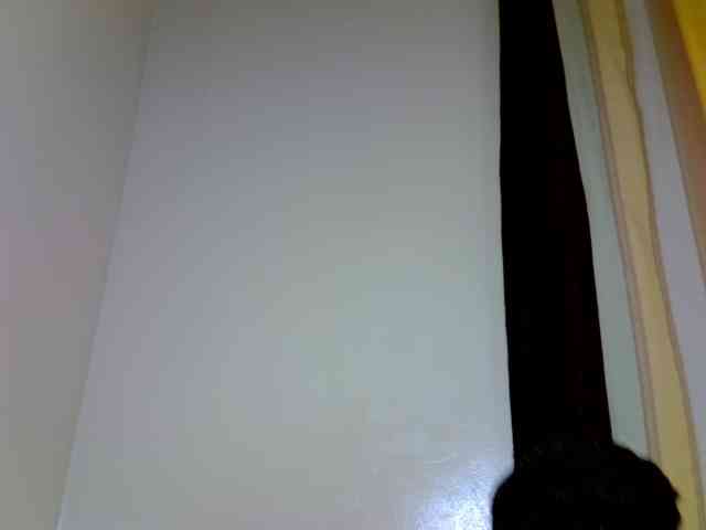 SexyDebie webcam