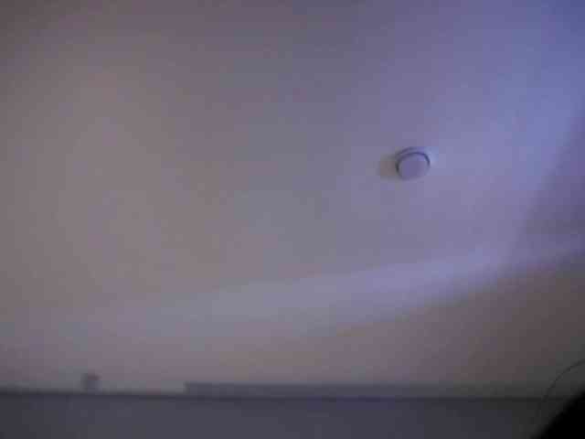 Ammy-meow webcam