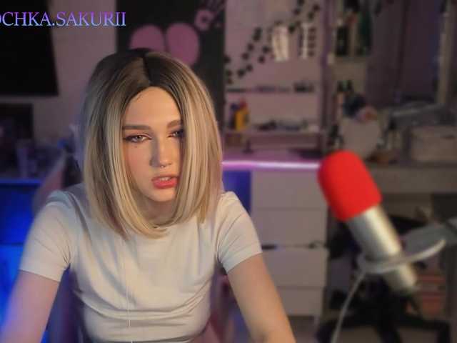 vanslly webcam