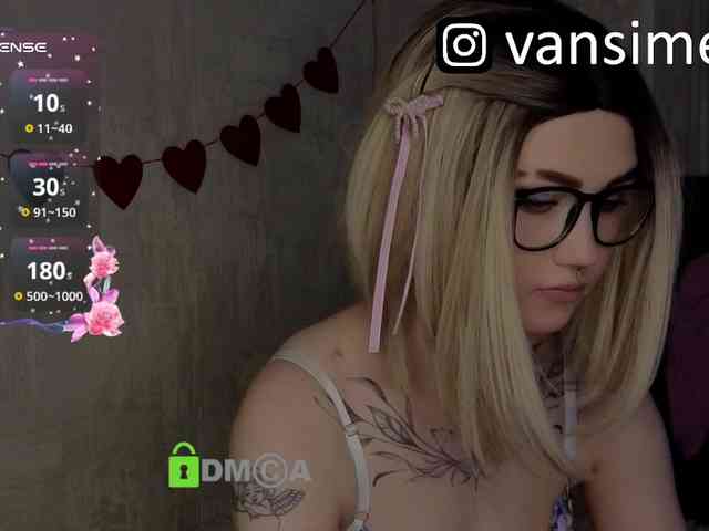 vaansi webcam