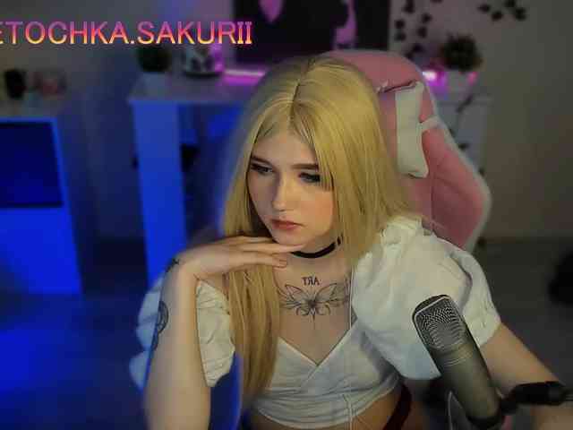 vanslly webcam
