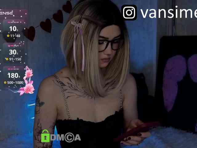 vaansi webcam