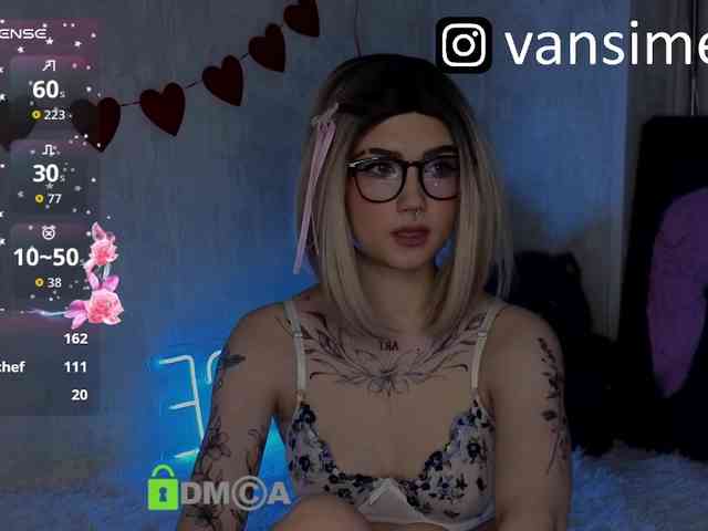 vaansi webcam