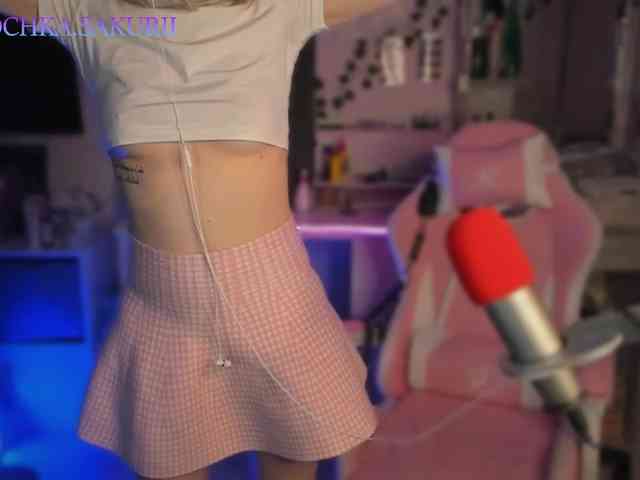 vanslly webcam