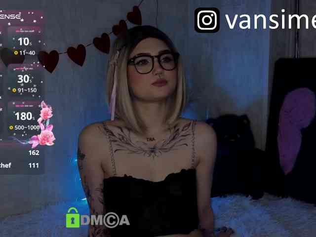 vaansi webcam